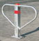 Parkb�gel