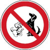 Verbotsschild Hundeverbot