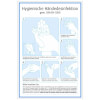 H�ndedesinfektionsplan Hygienische H�ndedesinfektion gem. DIN EN 1500