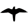 Hinweisschilder f�r Gewerbe und Privat Symbol -Falke-