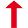 rot