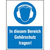 Gebots-Kombischilder In diesem Bereich Geh�rschutz tragen!
