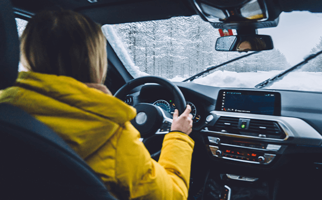 Sonax Antifrost