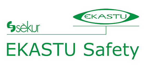 Logo von ekastu