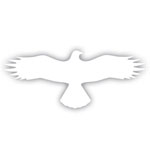 Aufkleber zum Vogelschutz Symbol -Bussard-