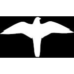 Aufkleber zum Vogelschutz Symbol -Falke-
