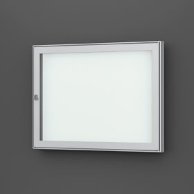 Tesus 30 E flacher Wand-Schaukasten eckig Format für 2 × DIN A4 Blätter