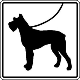 Hinweisschild - Wald -  und Freizeitanlagen Hunde anleinen (Symbolschild)