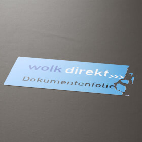 Sicherheitssiegel für Schutzschränke, für Mittel und Geräte zur Brandbekämpfung Text: Bei beschädigtem Siegel bitte die Funktionsfähigkeit 