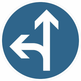 Verkehrsschild nach StVO - Nr. 214 - 10 Vorgeschriebene Fahrtrichtung geradeaus und links
