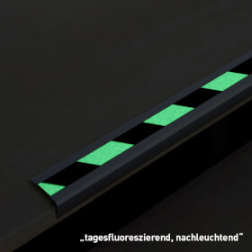 Antirutsch-Treppenkantenprofil, Doppelstreifen, Universal, Farbe Antirutschbelag: nachleuchtend, schwarz/gelb,