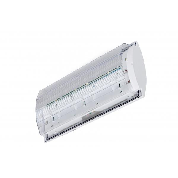 Deckenmontage Hersteller mit frostsicher direkt STANDARD kaufen zur und Sicherheits- und B-Lite Rettungszeichenleuchte FROST-LUX LED-Leuchtmittel beim Wand-